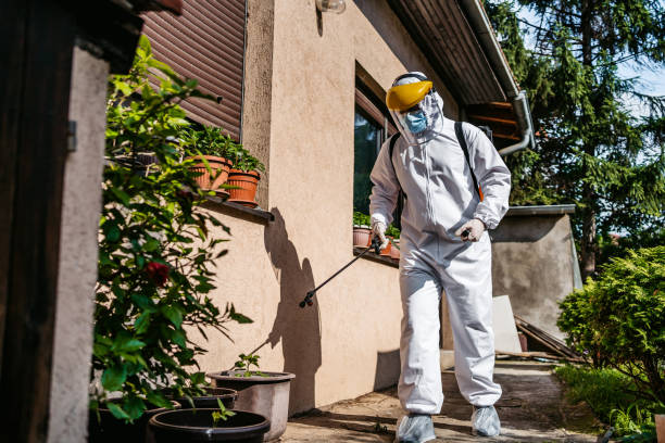 Best Best Pest Control Companies  in Cedar Creek, TX