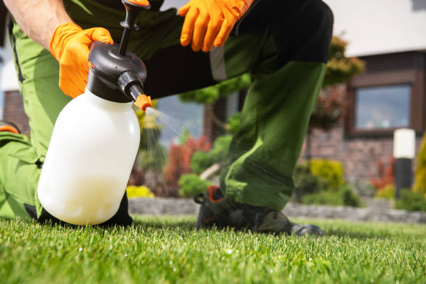 Best Affordable Pest Control Services  in Cedar Creek, TX