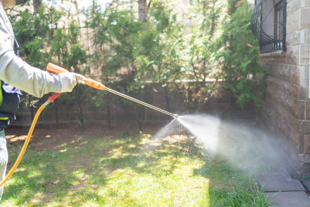 Best Flea Control Services  in Cedar Creek, TX