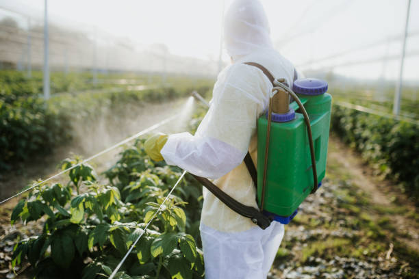 Best Pest Control Near Me  in Cedar Creek, TX